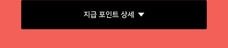 지급 포인트 상세