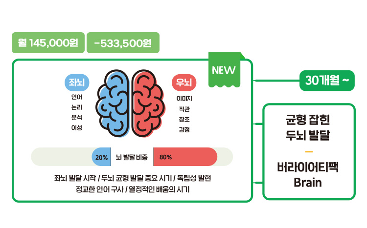 버라이어티팩 브레인