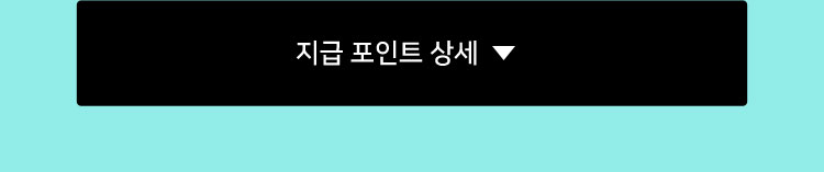 지급 포인트 상세