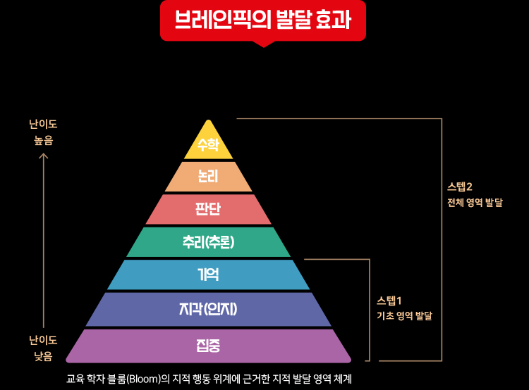 브레인픽의 발달 효과