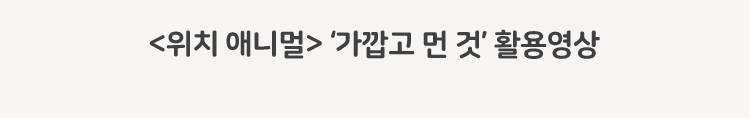 위치 애니멀 가깝고 먼 것 활용영상