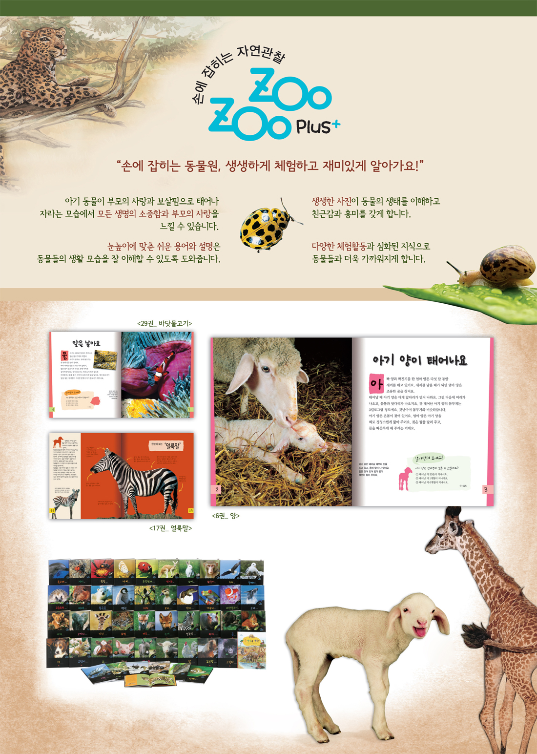 손에 잡히는 자연관찰 zoo zoo plus